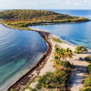 Mosquito Bay on Vieques Island, Puerto Rico